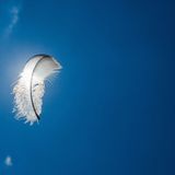 医師監修 進行流産とはどういうこと 症状やその後の処置 次の妊娠について知りたい たまひよ