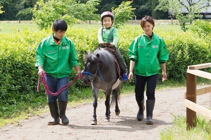 夏の親子旅③子どもも大喜び!360度の大自然に囲まれた農場体験【in岩手】