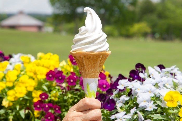 新鮮な食材を使ったメニューで元気をチャージ