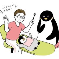 医師監修 赤ちゃんの歯ぎしり 歯並び 歯石と歯が生えてからの授乳の気がかり たまひよ 医師監修 赤ちゃんの歯ぎしり 歯並び 歯石と歯が生えてからの授乳の気がかり たまひよ
