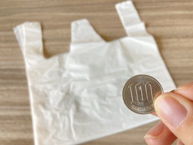 エコバッグは必要？レジ袋より得？