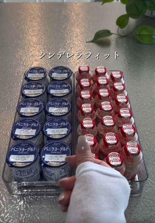 【ニトリ】毎日食べる食品がシンデレラフィット