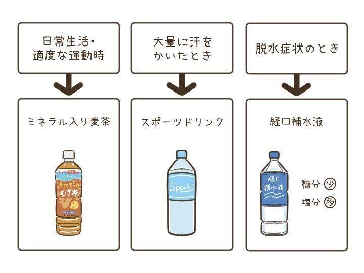 1000名にむぎ茶1ケース当たる ママ医師が教える 今からはじめる暑さに負けないカラダづくり 暑熱順化 しょねつじゅんか とは サンキュ 1000名にむぎ茶1ケース当たる ママ医師が教える 今からはじめる暑さに負けないカラダづくり 暑熱順化 しょねつじゅんか とは サンキュ