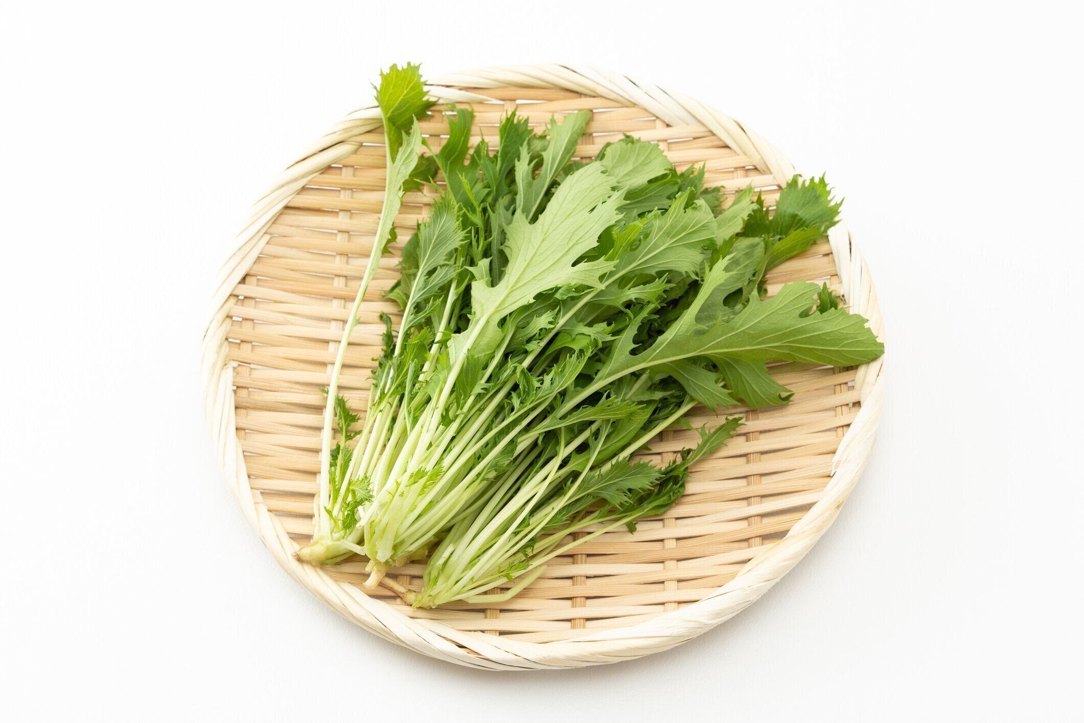 白い背景に水菜。