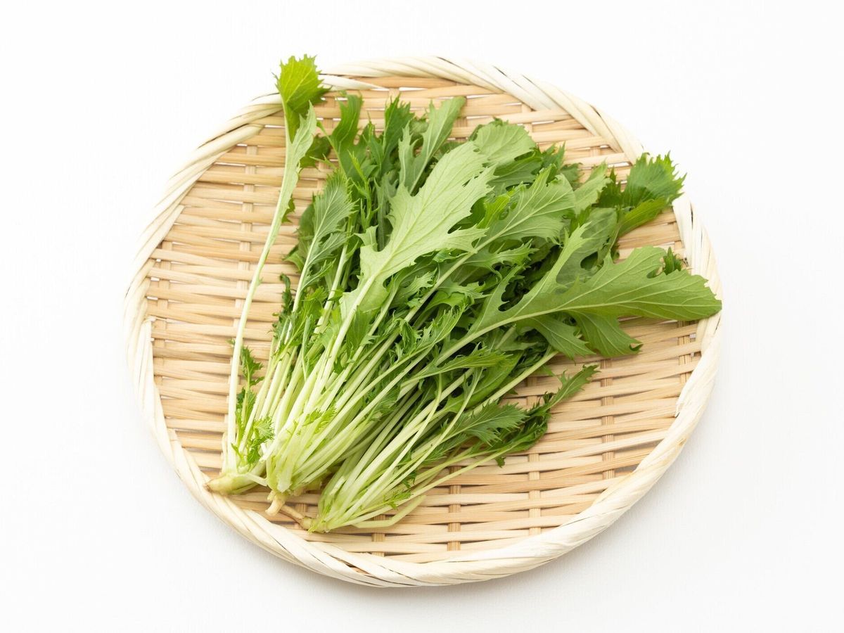 白い背景に水菜。