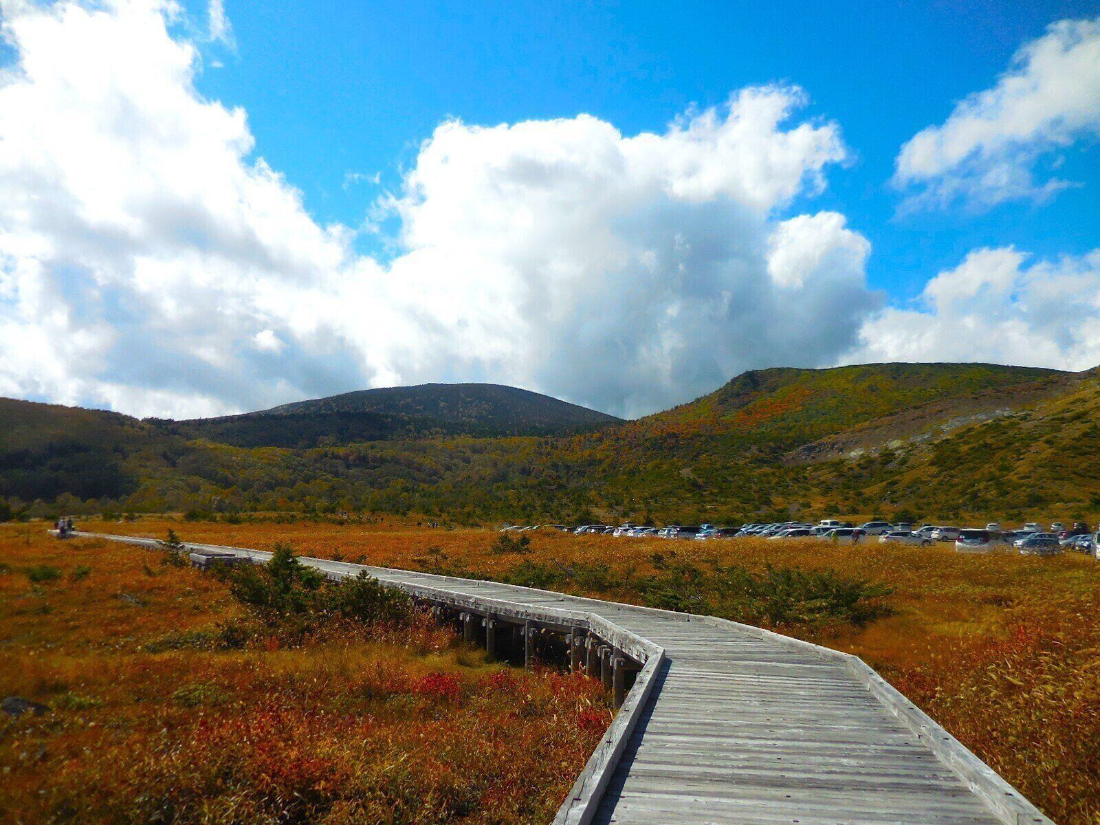 福島県の浄土平の草紅葉