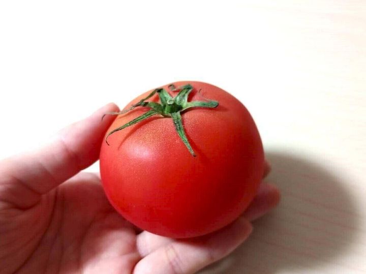 トマト