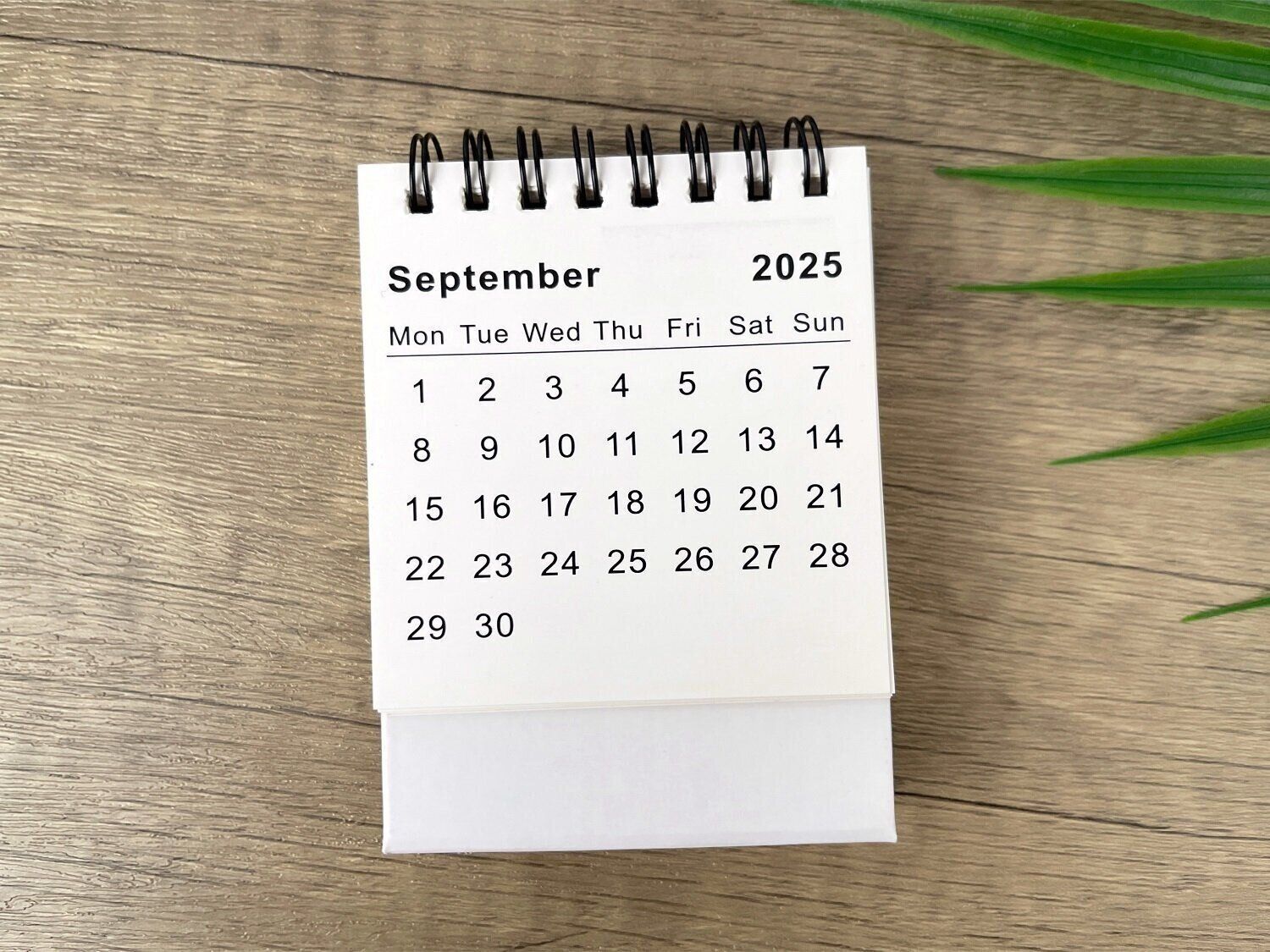 ９月の開運風水 2025 【Dr.コパの風水解説】