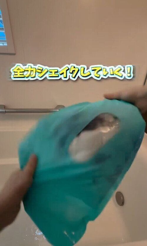 ダイソーにもあった！「ウォッシュバッグ」