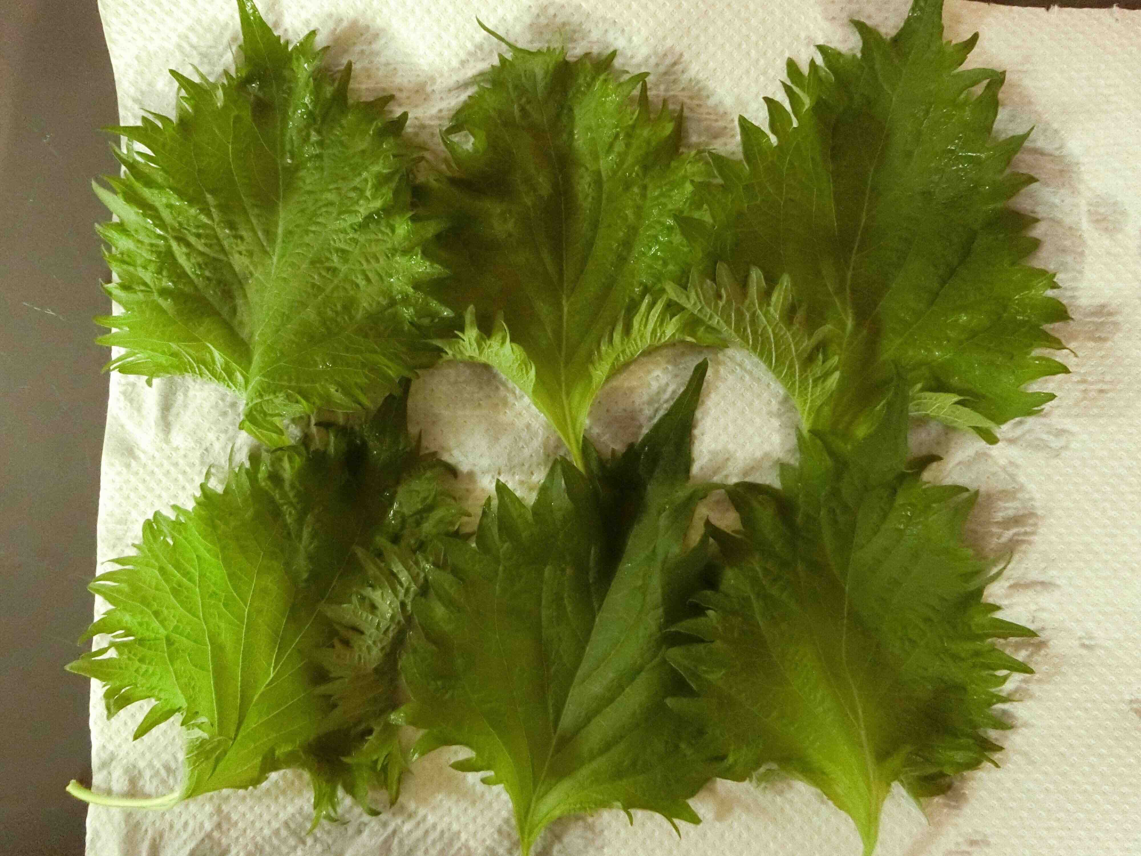 材料2つでできる 万能調味料 シソしょう油 は香りが良くて簡単味付けにピッタリ サンキュ