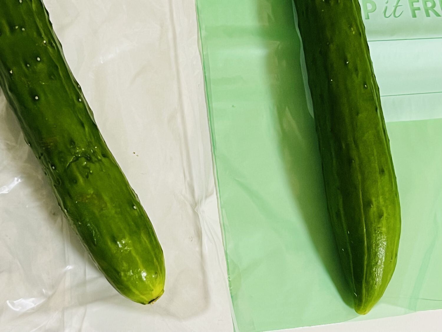 キュウリで比較しました