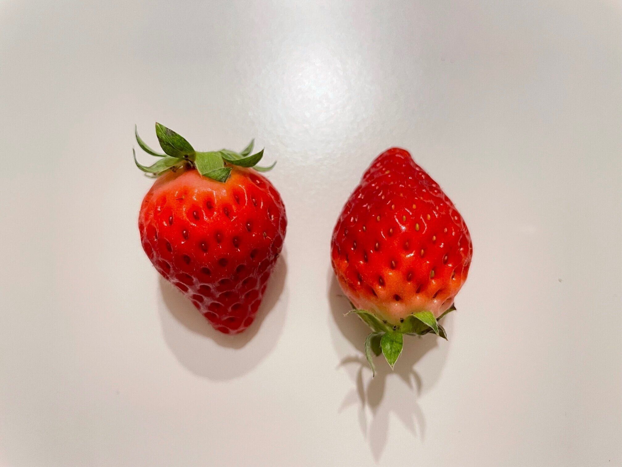 ホテルパティシエから聞いた おいしい苺の食べ方は から食べる サンキュ