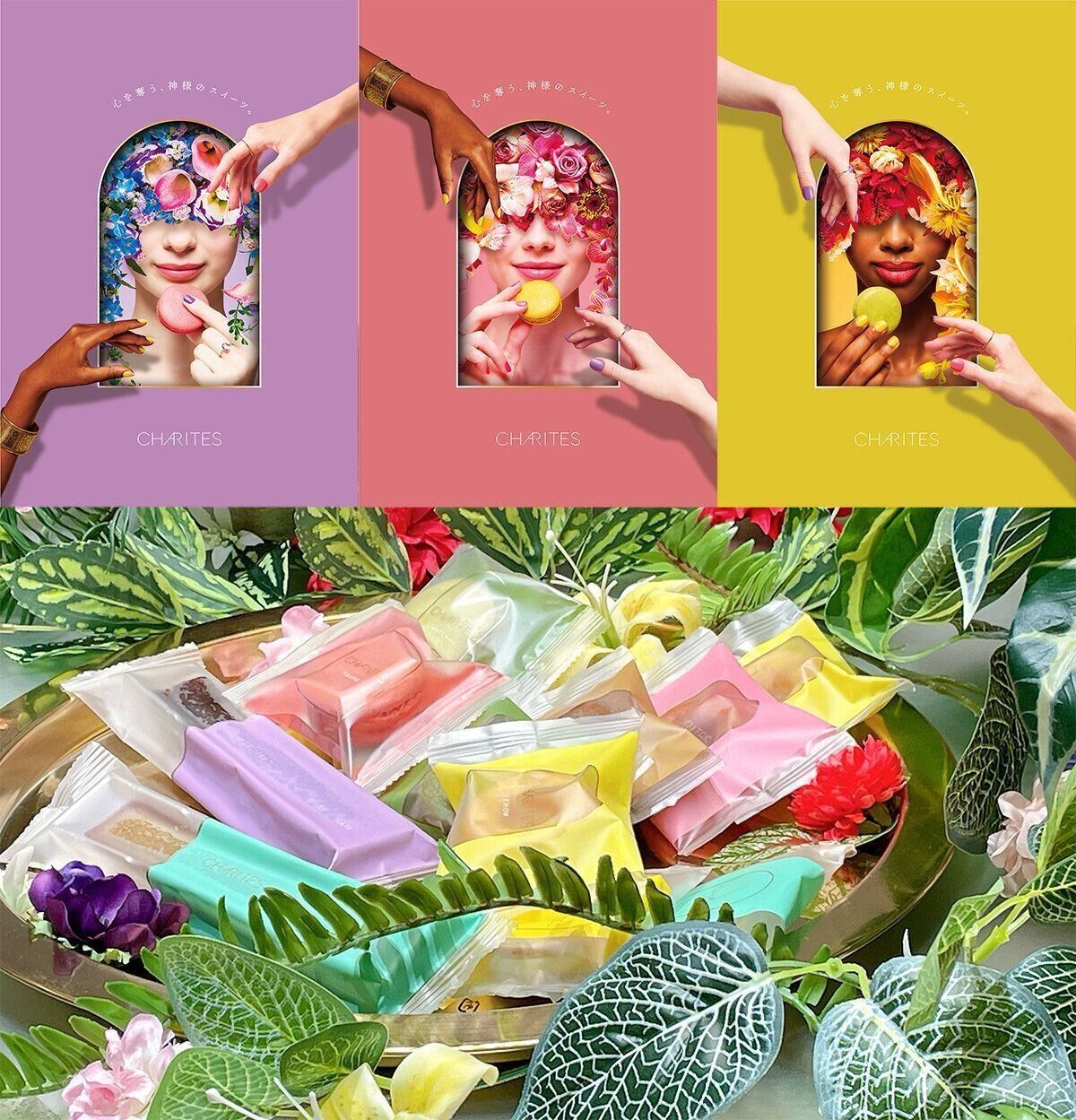 CHARITES（カリテス）