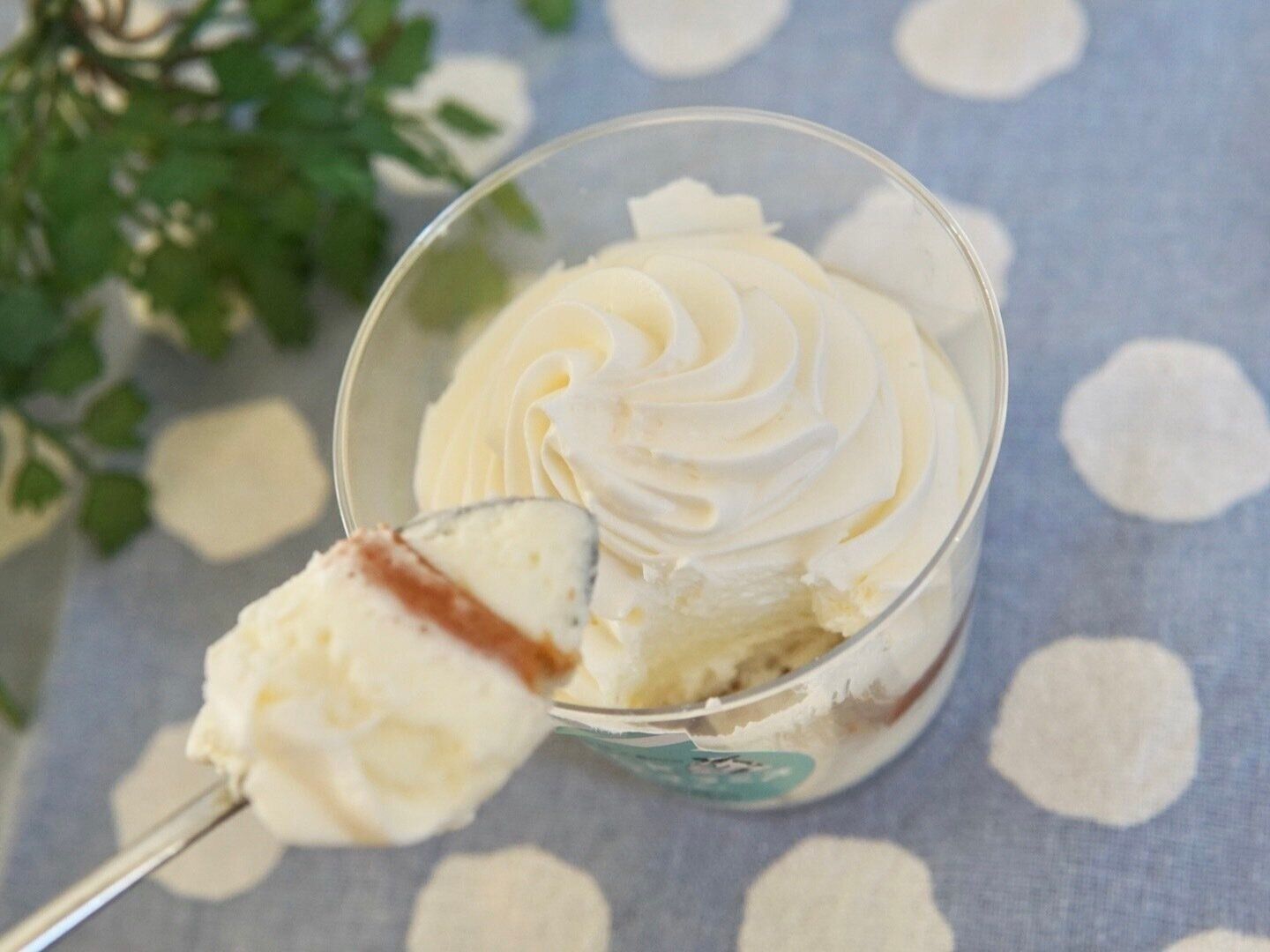 MILK白いティラミス(練乳仕立て)