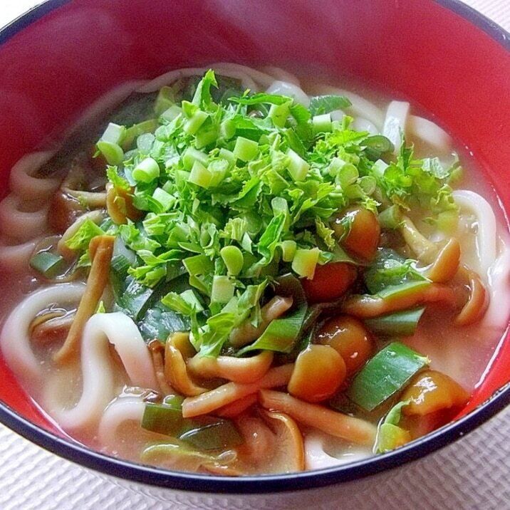 10分de簡単＊なめこの味噌煮込みうどん