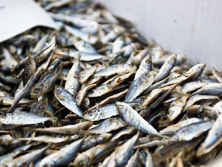 管理栄養士監修 にぼし の主な栄養素とカロリーまとめ ダイエットに効果がある サンキュ 管理栄養士監修 にぼし の主な栄養素とカロリーまとめ ダイエットに効果がある サンキュ