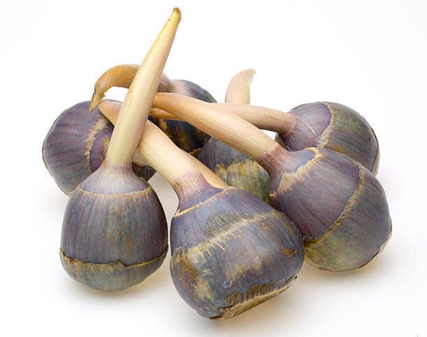 のチェスナッツ