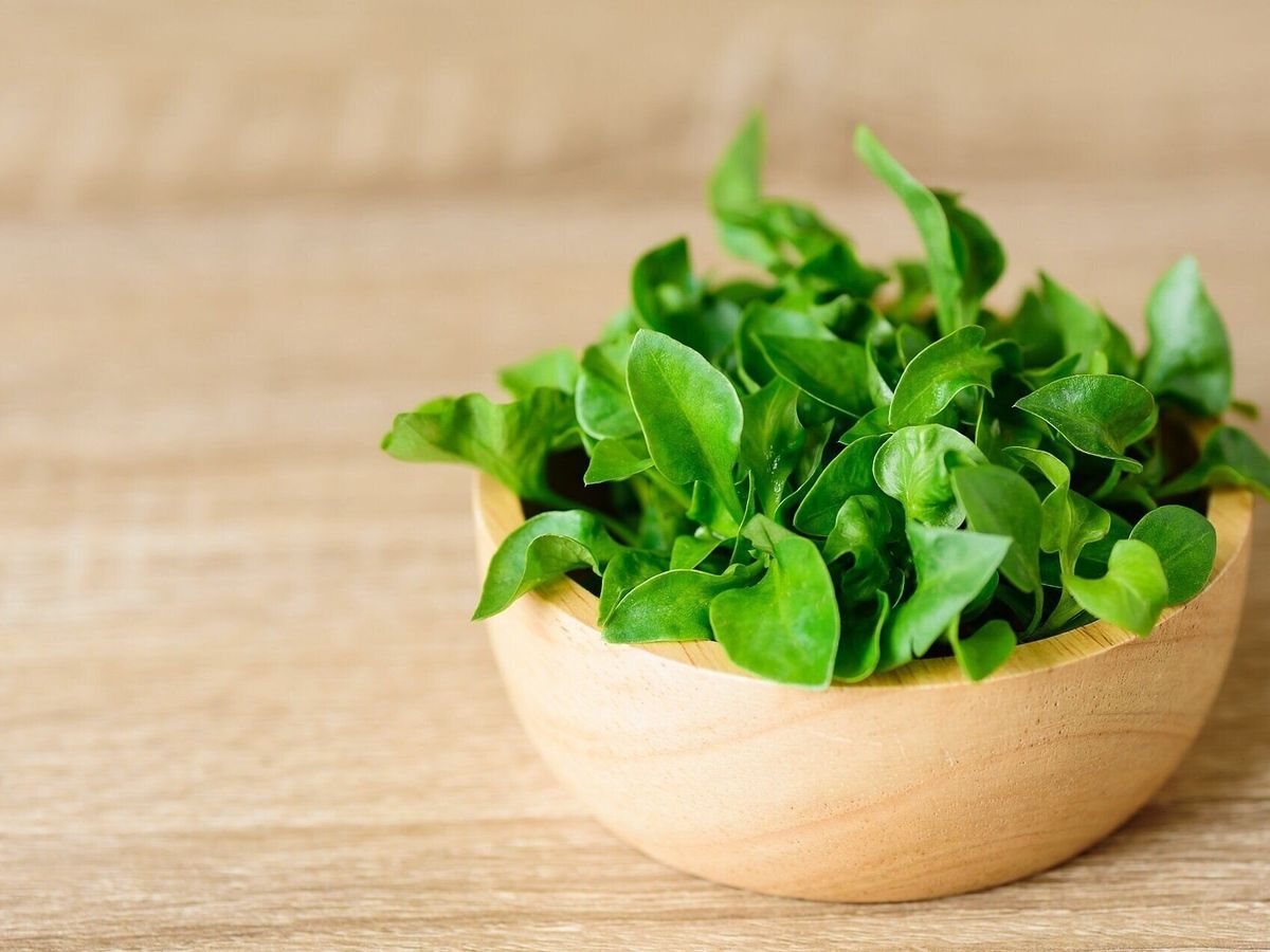 スーパーでふつうに買える「世界一の栄養密度」を誇る野菜とは!?