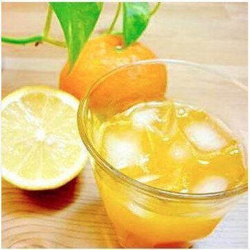 残ったみかん救済！オレンジエード