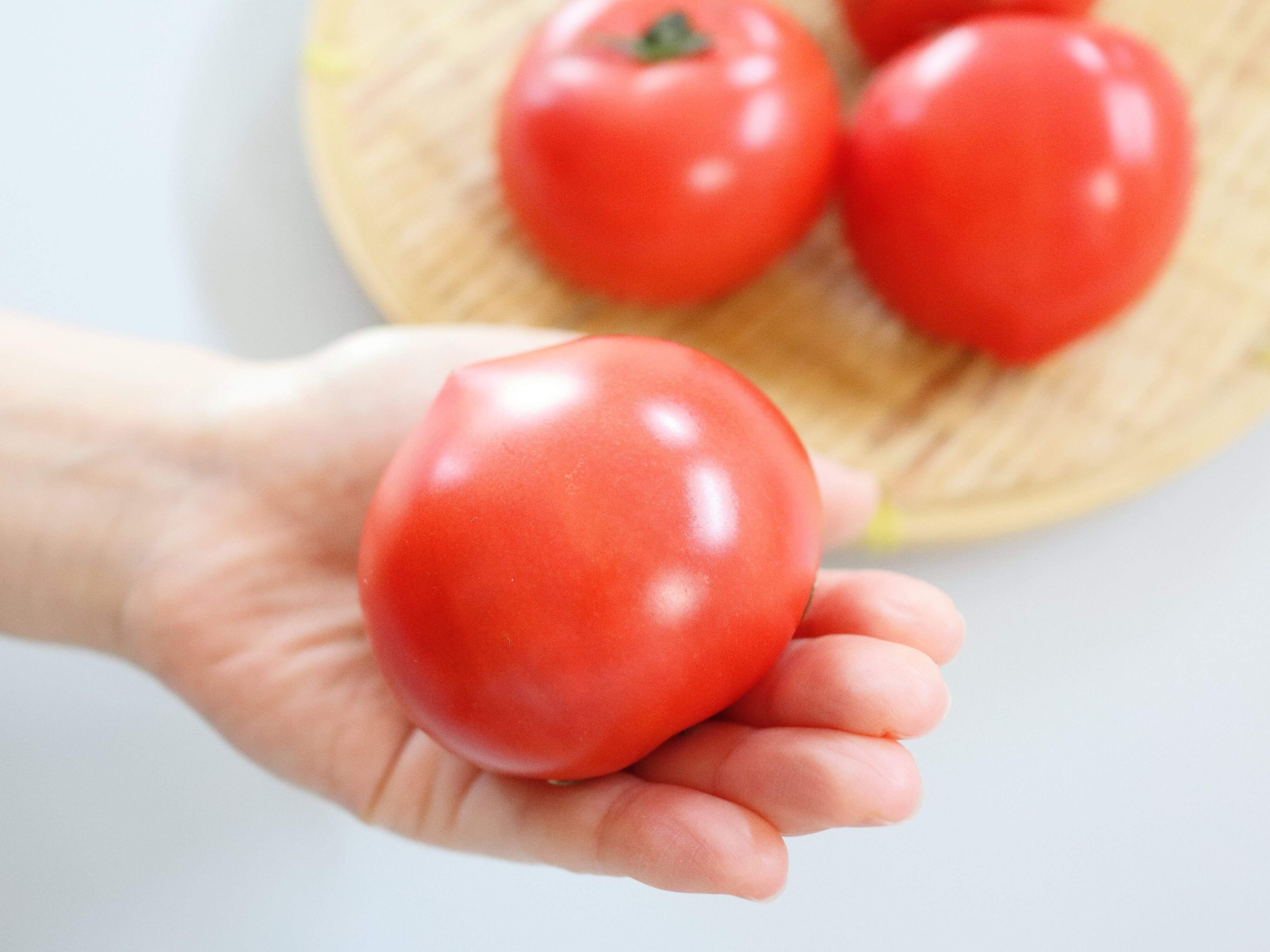 ハリツヤがある