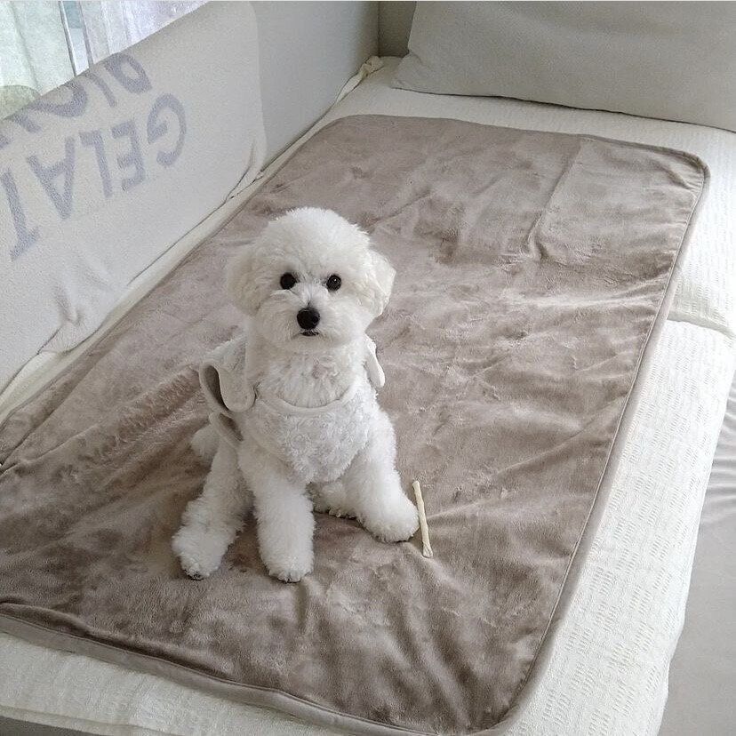 ソファでくつろぐかたにオススメ！