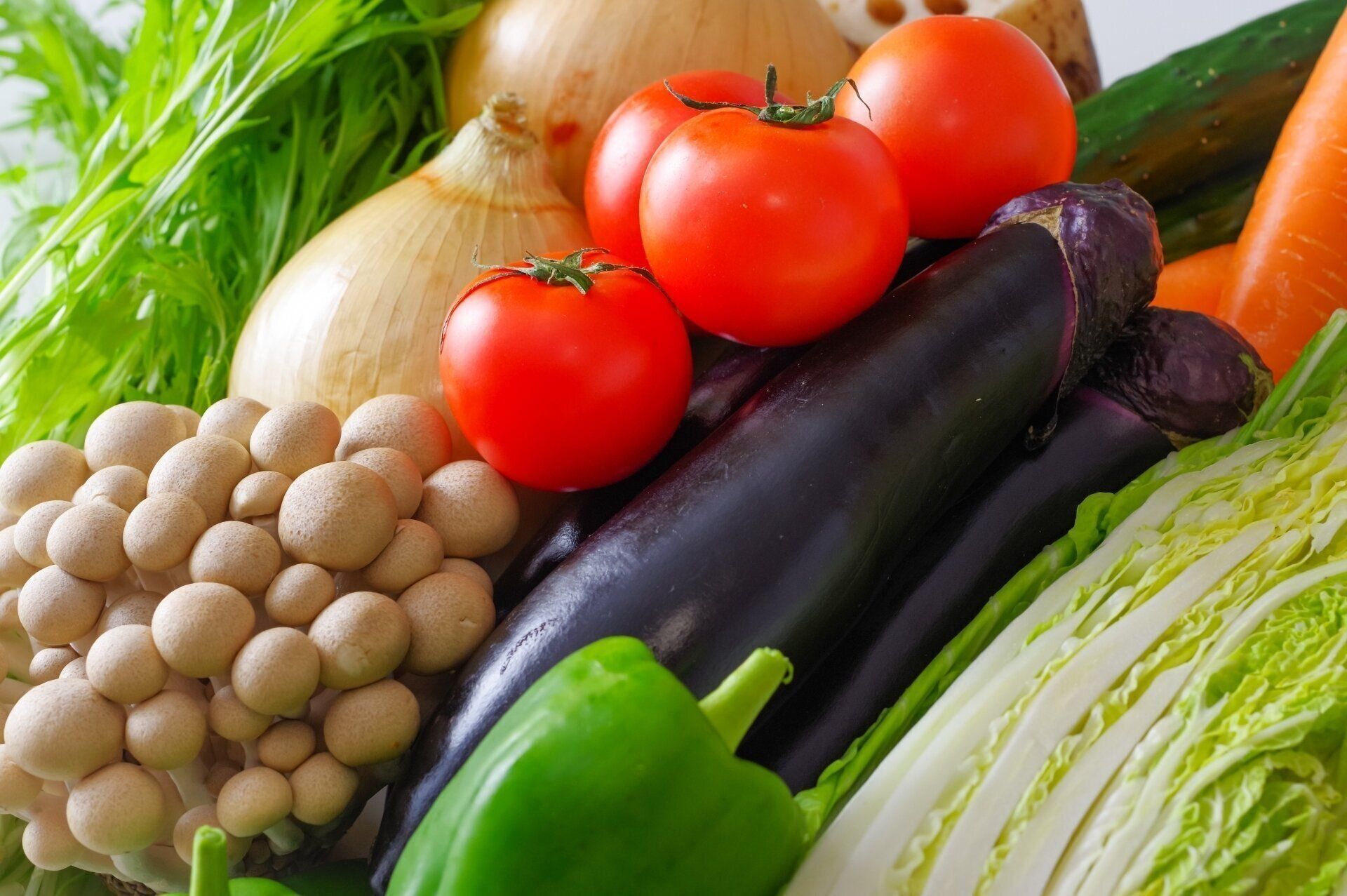 学ぶメリットは「安全な食材選びができる」「食のマナーや知識を伝えられる」