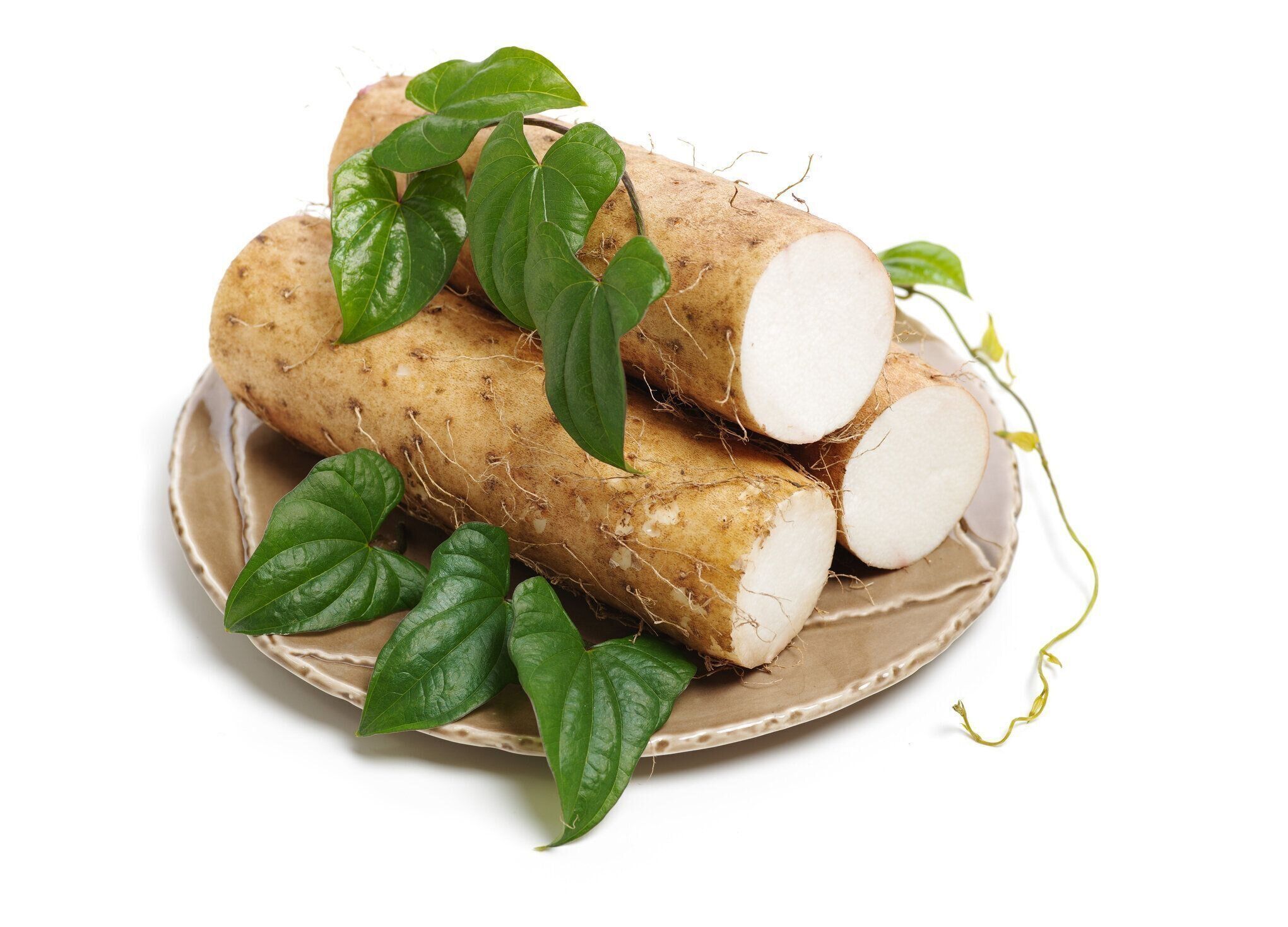 白い背景に中国のヤム