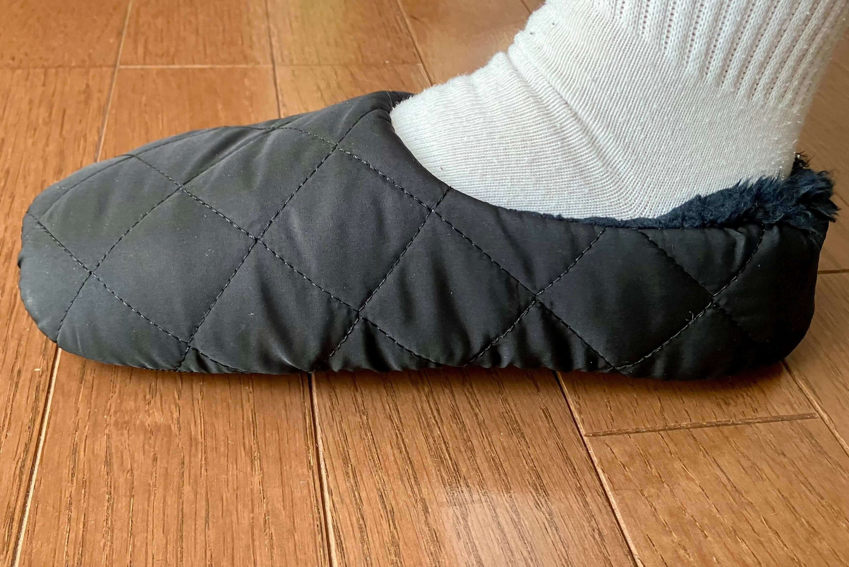 横から見たところ