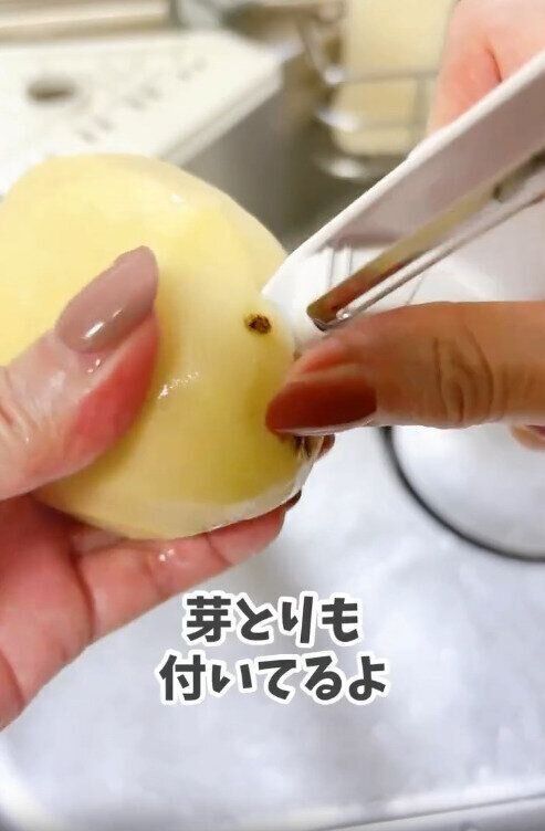 【セリア】シンプルデザインなのに芽とりもできる