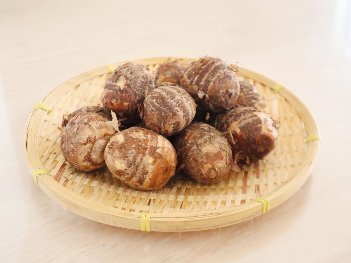 旬の「サトイモ」スーパーで買うときにおいしいものを見分けるコツとは?