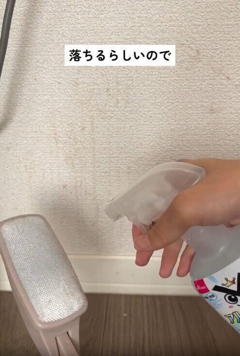 【ダイソー】ホコリ取りとアルカリ電解水の合わせ技で汚れを落とす