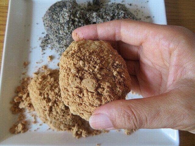 手に持ったところ