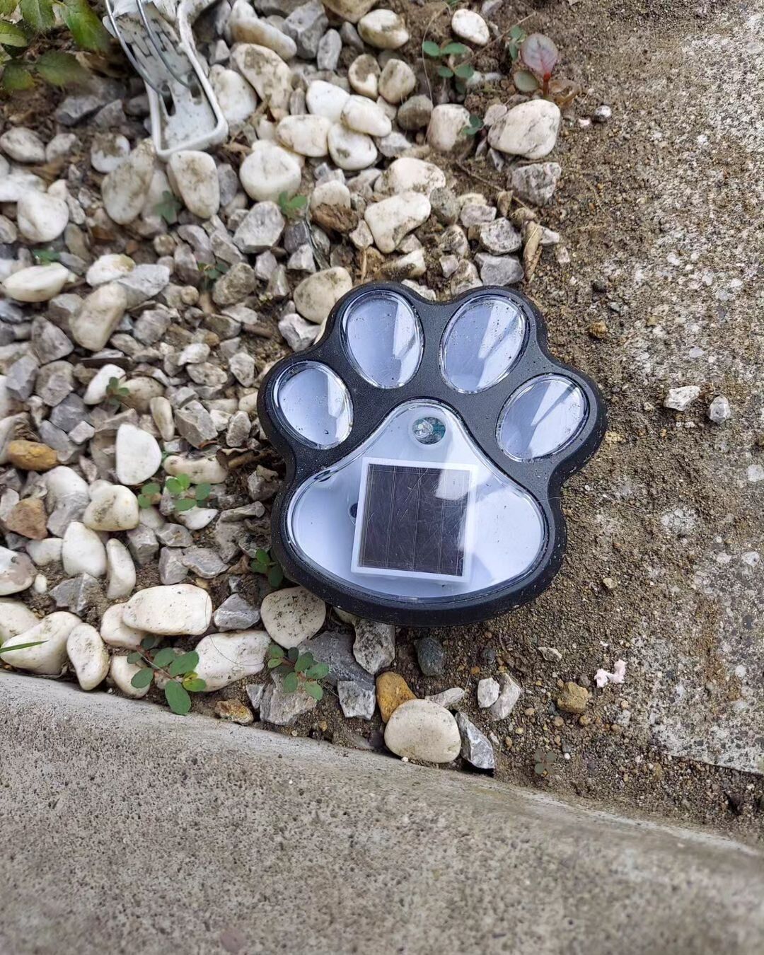 【ダイソー】むちゃくちゃかわいい！ソーラーガーデンライト