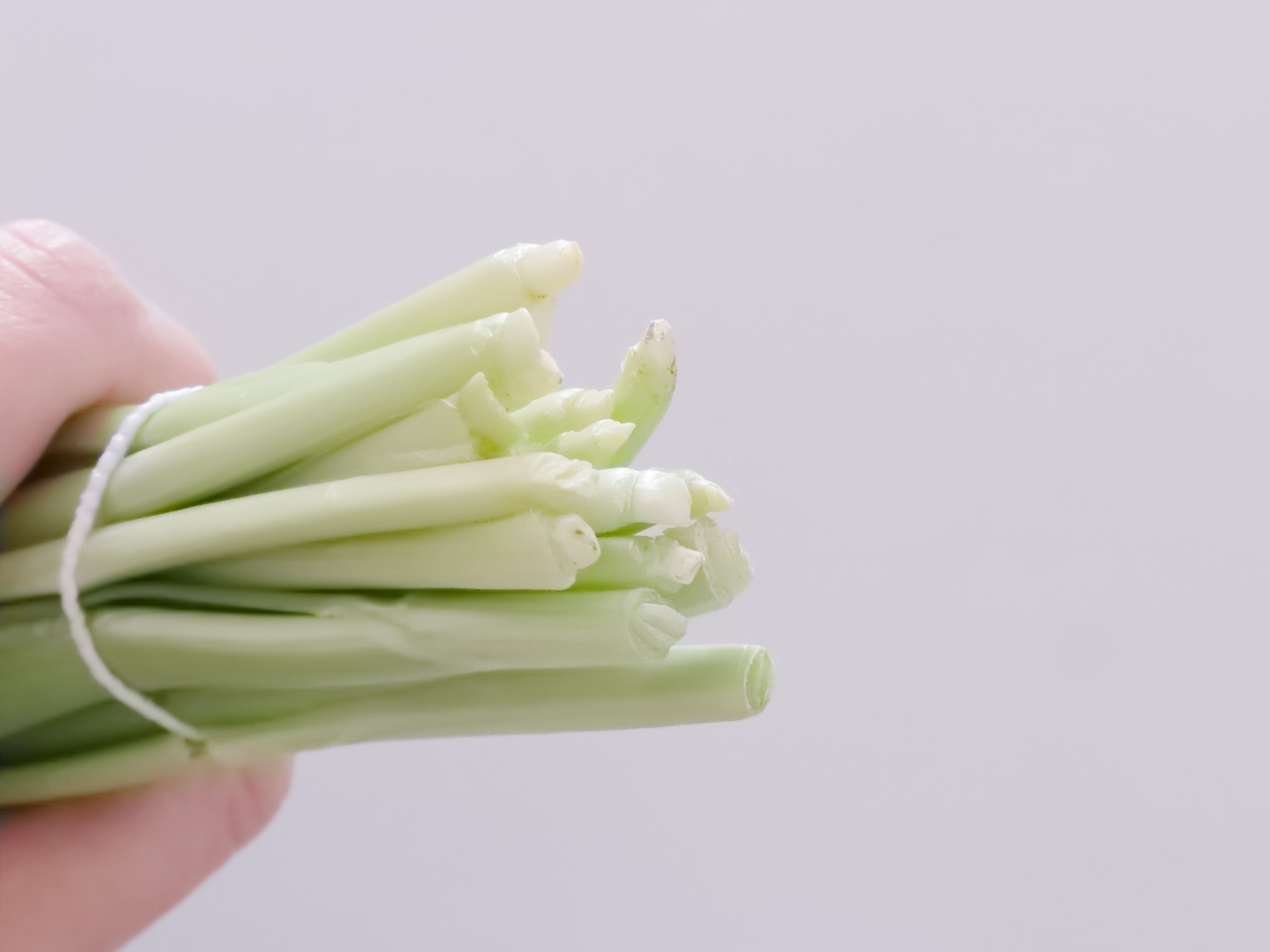 切り口がみずみずしい