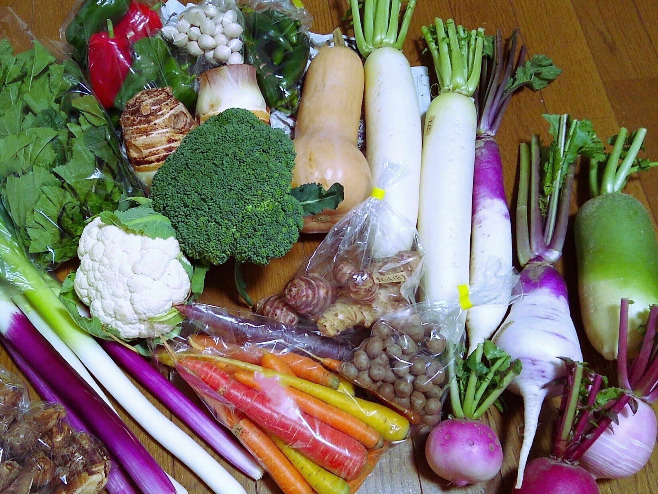 いろいろな野菜