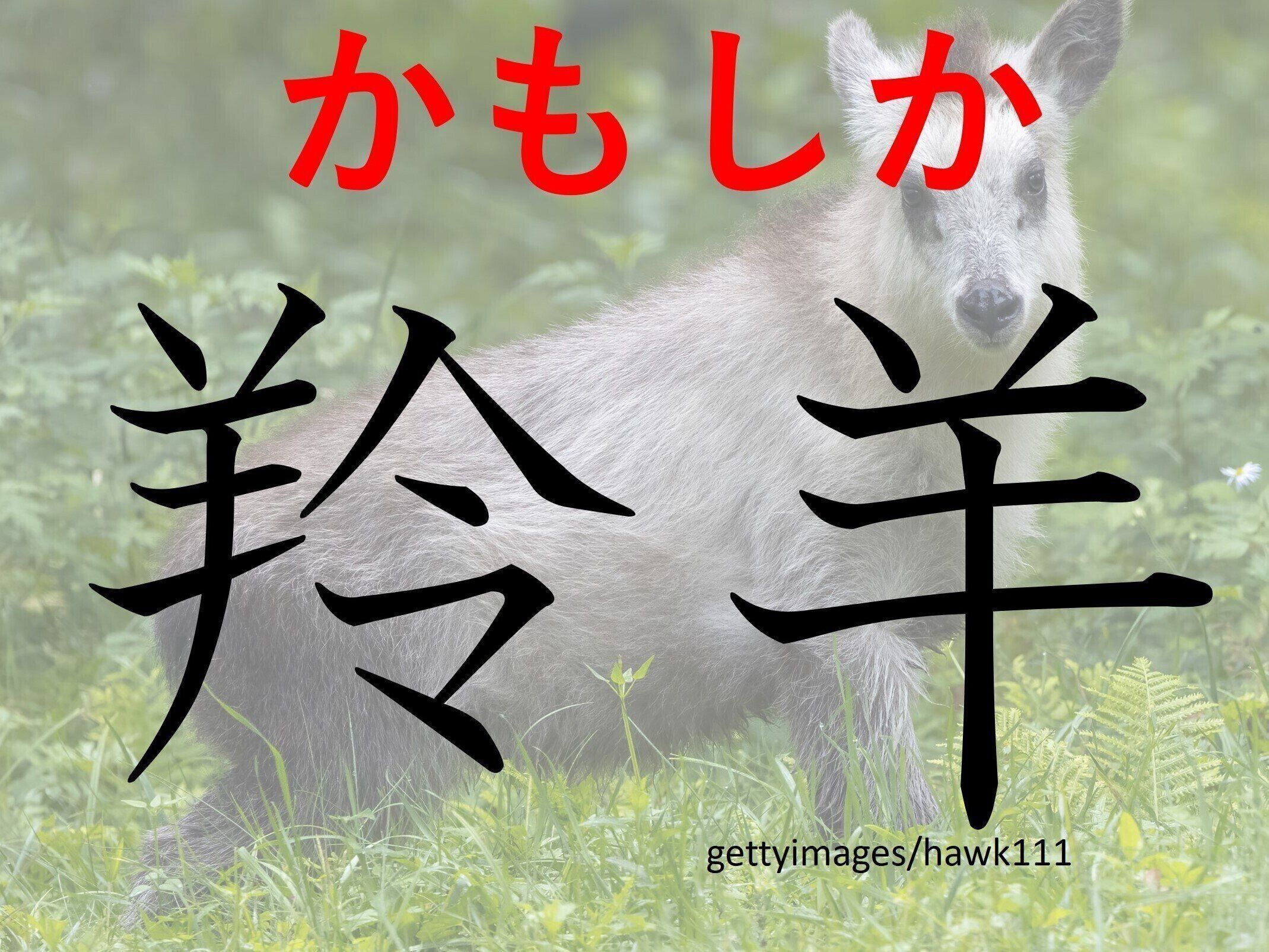 ありふれているようだけど日本だけ！難読漢字「羚羊」はなんて読む？