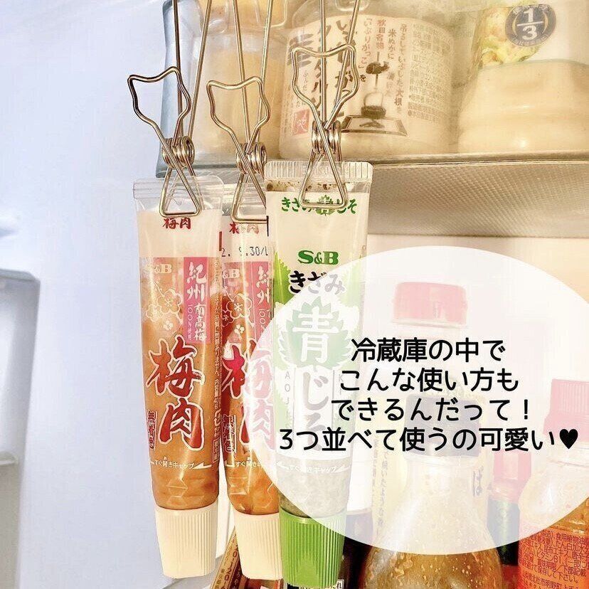 ねこ型がかわいい！「ハンギングステンレスピンチ」