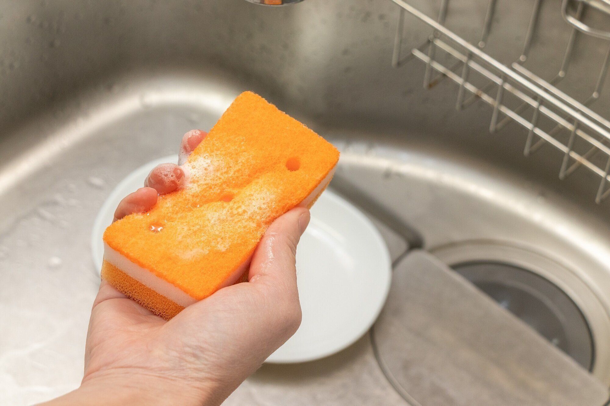スポンジ正しく使えている？掃除のプロに聞いた「食器洗い」でやってはいけないワースト4