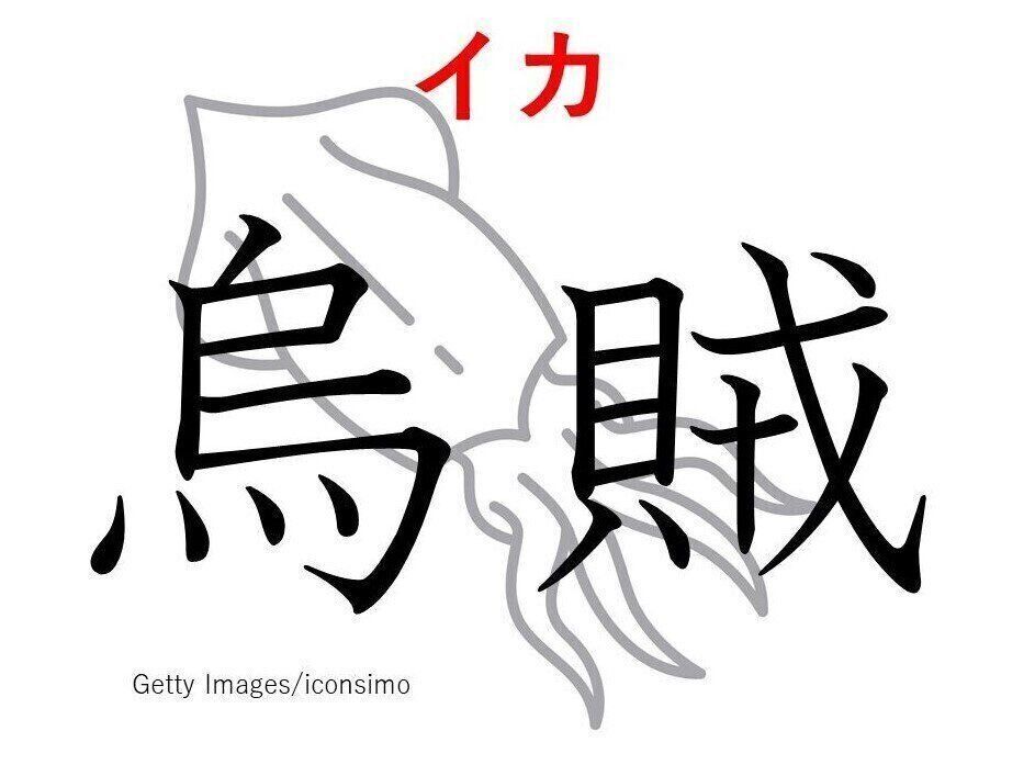 烏 からす の 賊 とは穏やかじゃない 難読漢字 烏賊 の正体は誰もが知っているあいつだった サンキュ