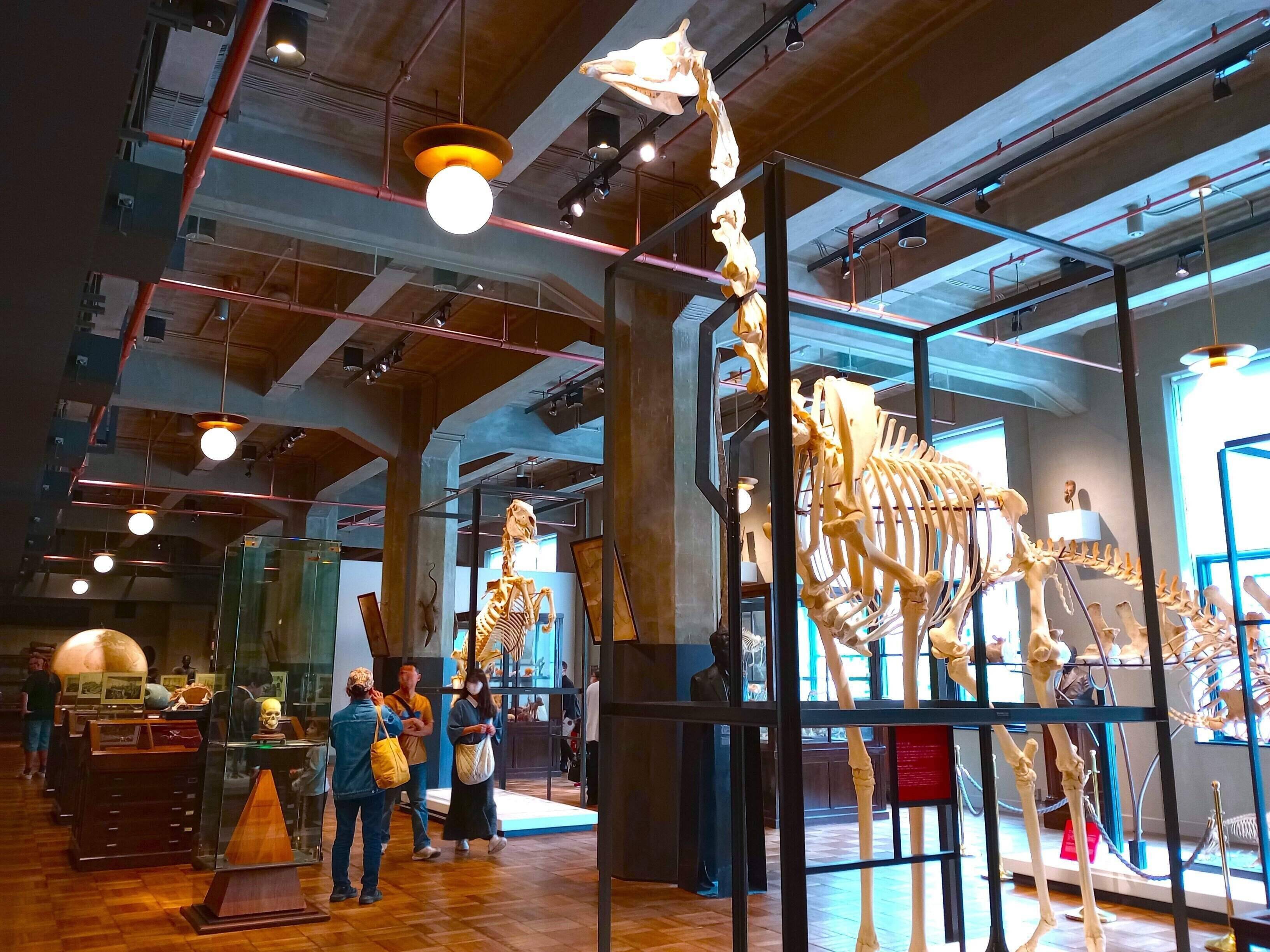 インターメディアテク