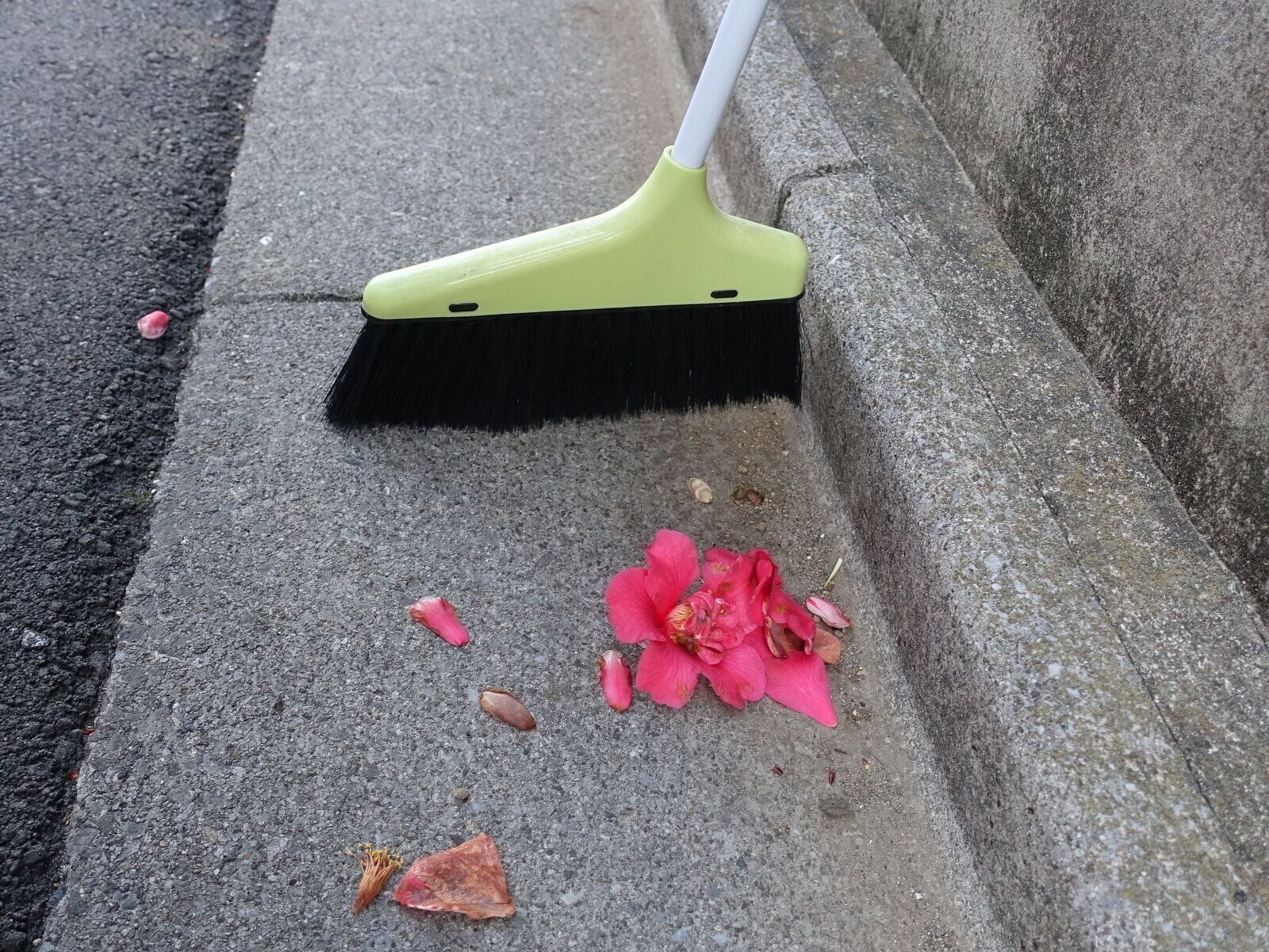 家事のプロも推奨！大型連休中に春の大掃除を