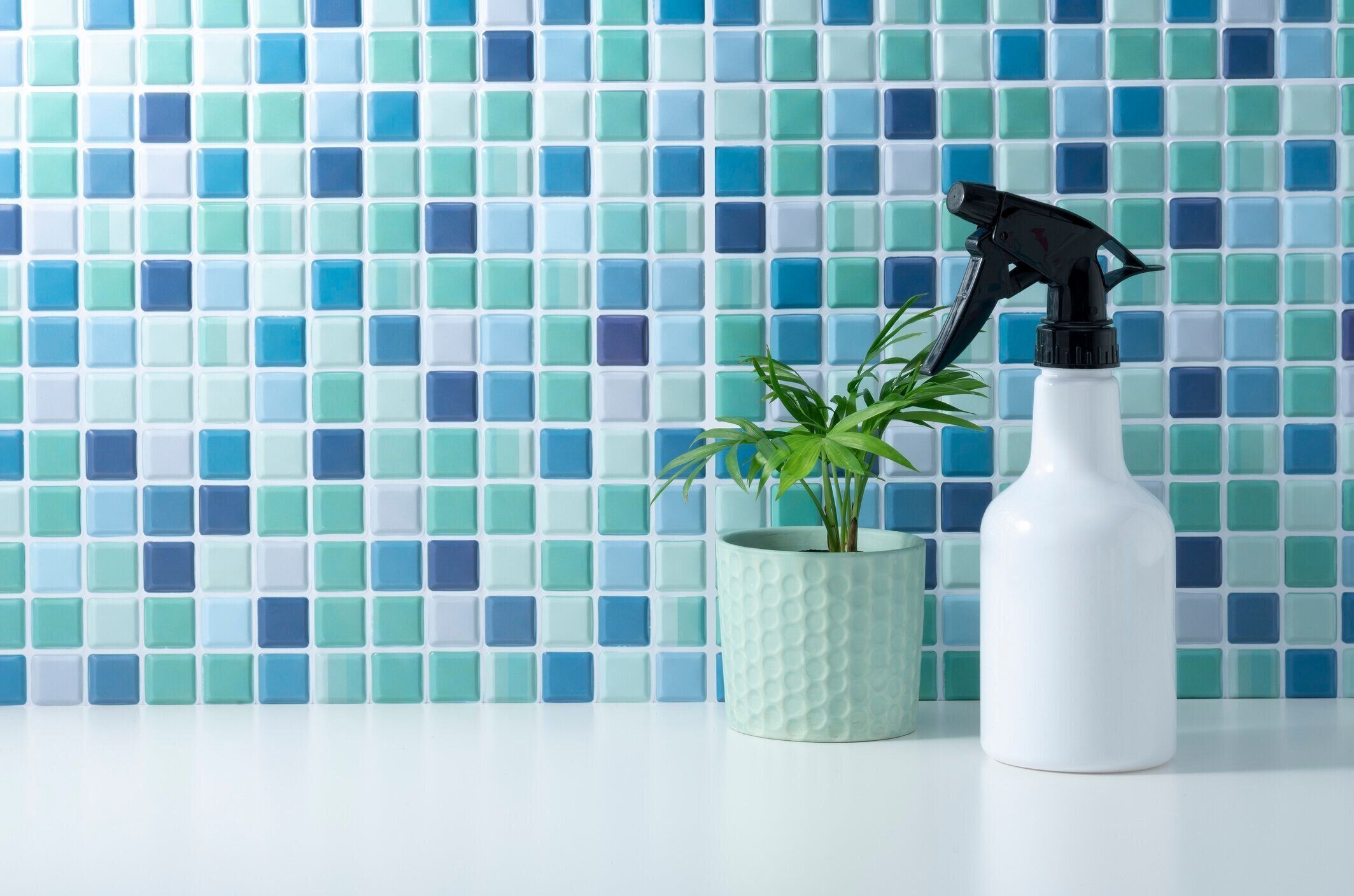 スプレーボトルと葉の植物