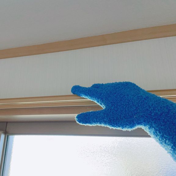 お掃除手袋