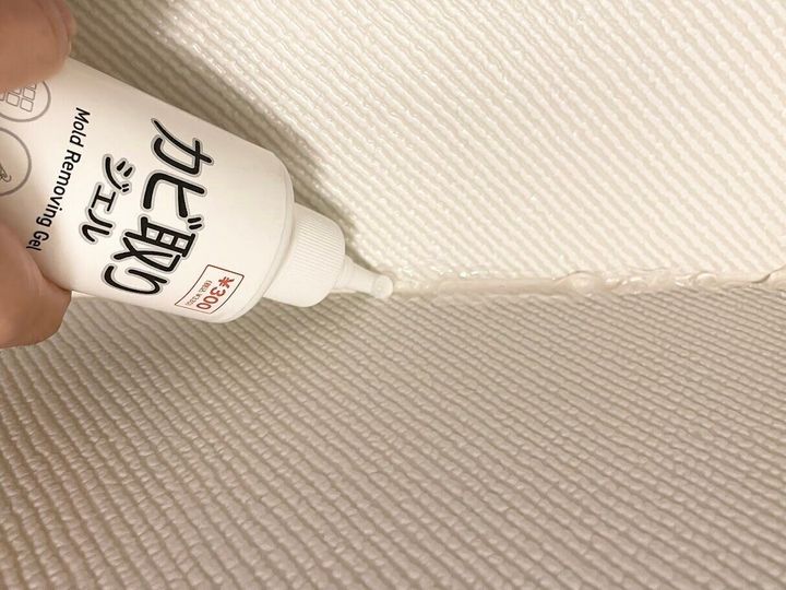 ゴムパッキン部分のカビ取りに便利!