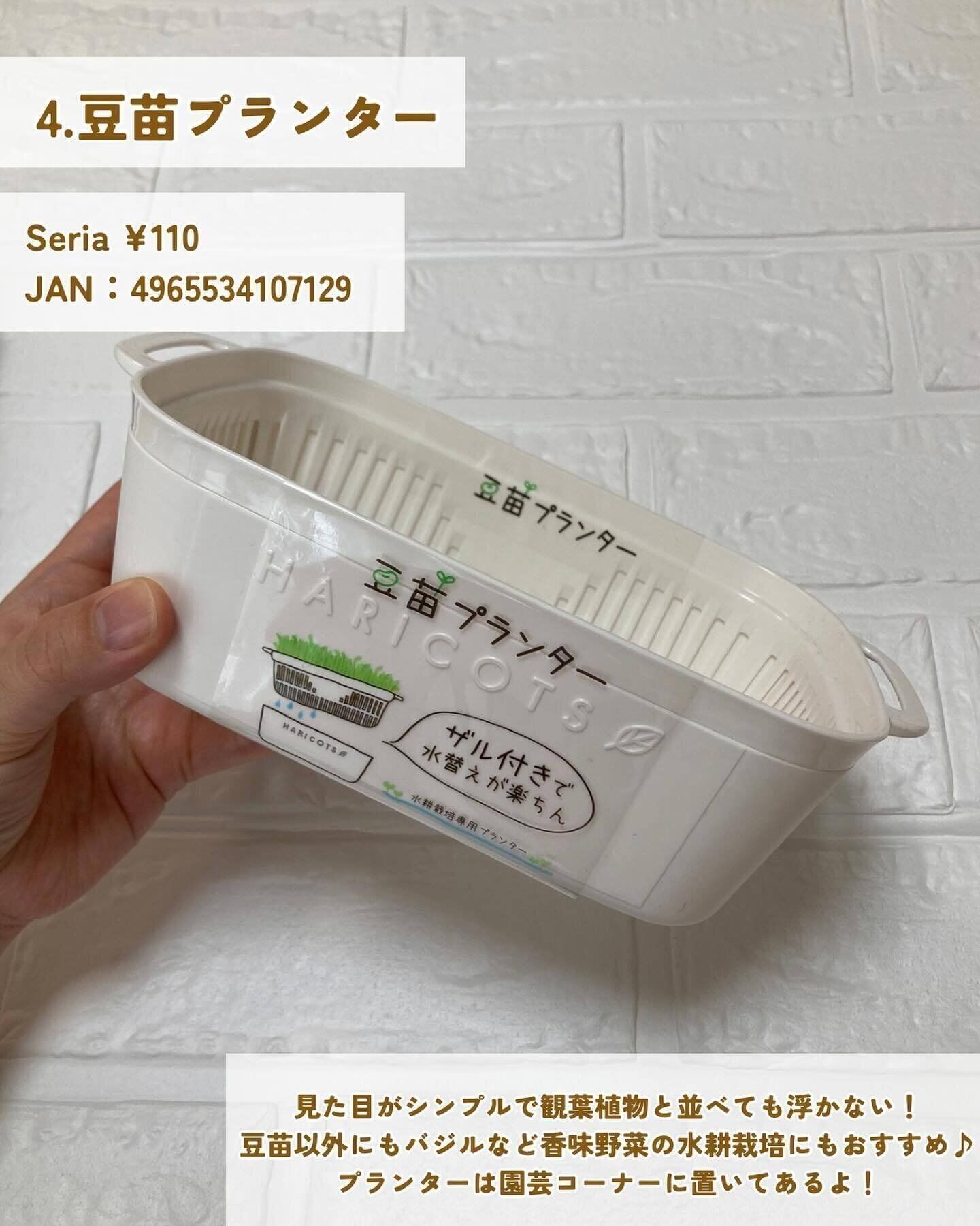 手軽にリボベジを！「豆苗プランター」