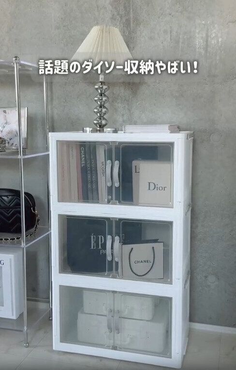 【ダイソー】進化が止まらない！話題の最新ダイソー収納