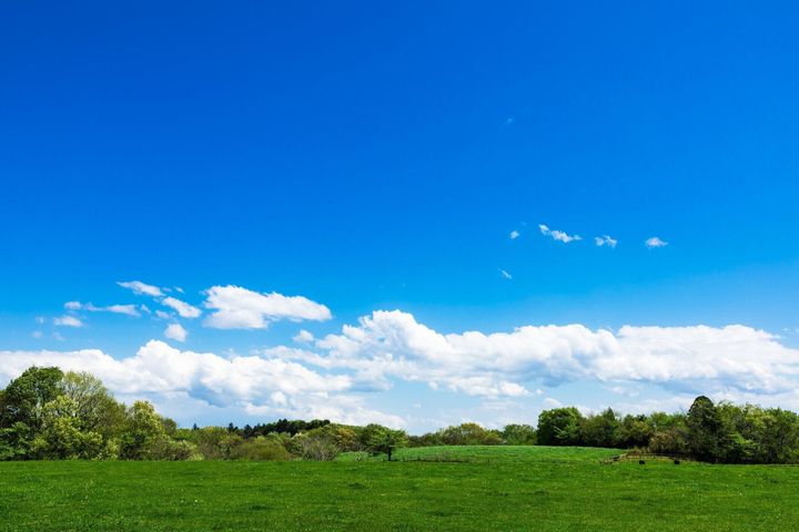 青空の下のハイランド牧場の風景4