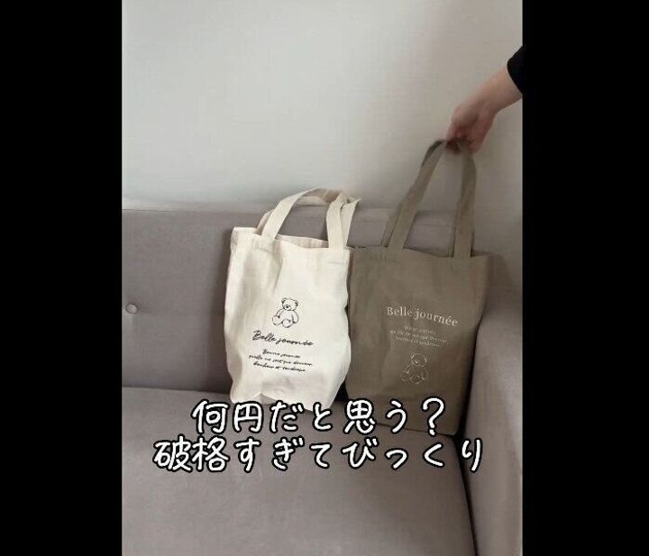 【セリア】破格すぎてびっくり!エコバッグ