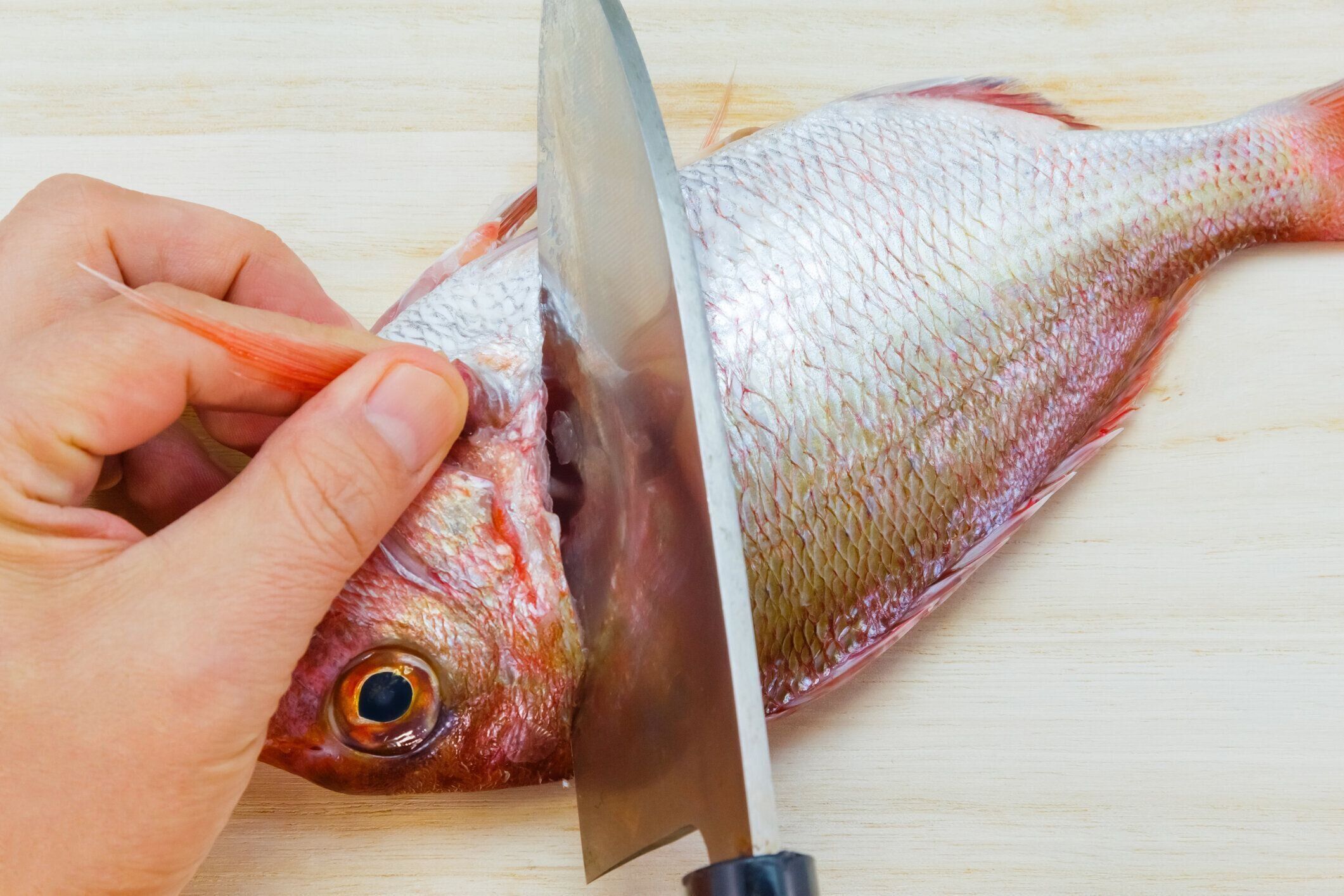 鯛の準備には、日本のスタイル