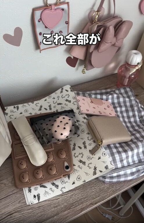 【ダイソー】リュック内の荷物を全部まとめられる